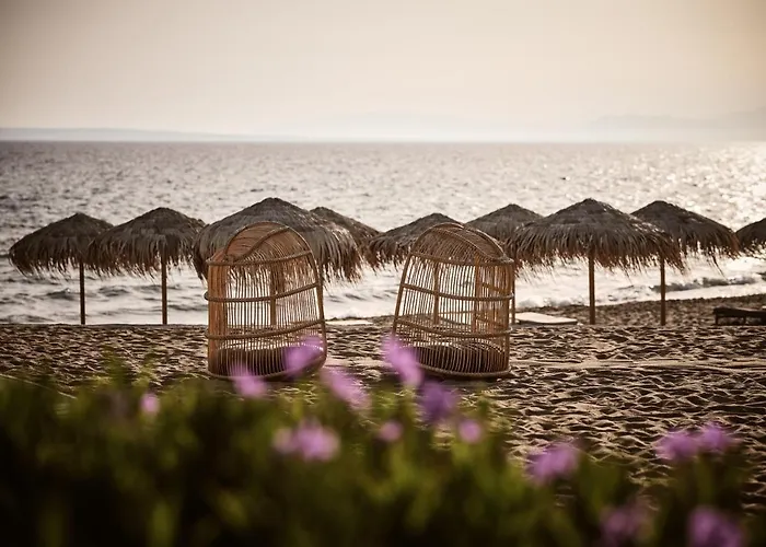 Hotel The Bay &