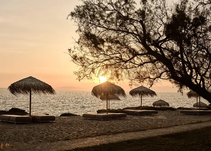 The Bay & Hotell 5*